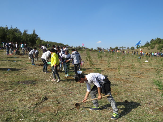 甘肃东方学院植树节